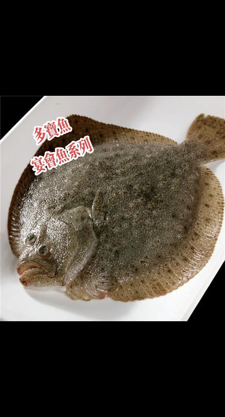 多寶魚圖片 多寶魚圖片 龍魚論壇 第4張