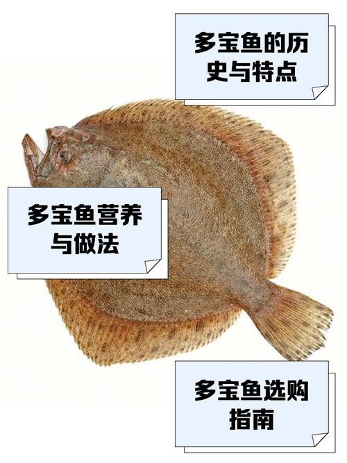 多寶魚圖片 多寶魚圖片 龍魚論壇 第8張