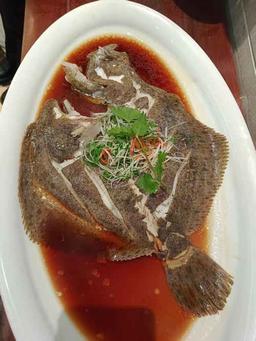 多寶魚圖片 多寶魚圖片 龍魚論壇 第10張