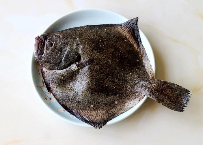 多寶魚圖片 多寶魚圖片 龍魚論壇 第21張