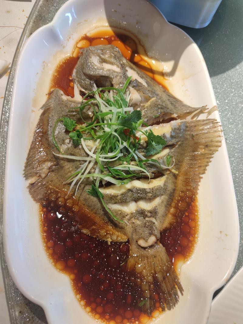 多寶魚圖片 多寶魚圖片 龍魚論壇 第17張