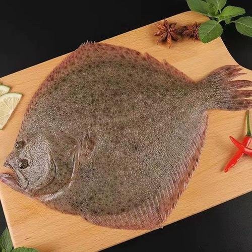 多寶魚圖片 多寶魚圖片 龍魚論壇 第28張