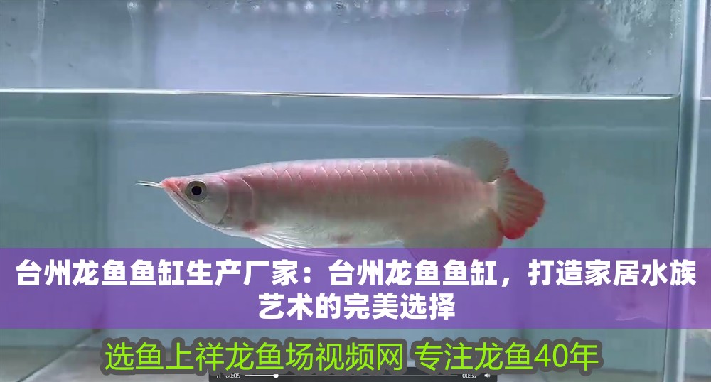 臺州龍魚魚缸生產廠家：臺州龍魚魚缸，打造家居水族藝術的完美選擇