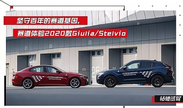 賽車紅龍是哪個品牌的車型？