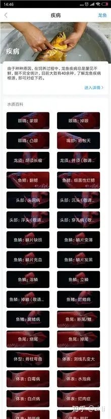 龍魚比賽死魚事件對賽事影響大嗎？