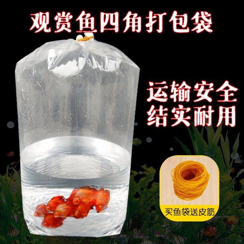 觀賞魚怎么寄快遞