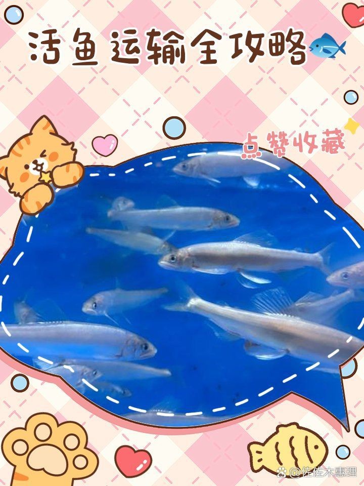觀賞魚怎么寄快遞