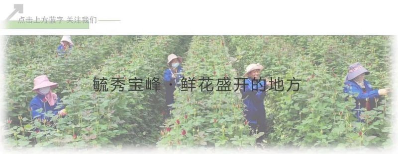 如何避免在水長城遇到極端天氣？