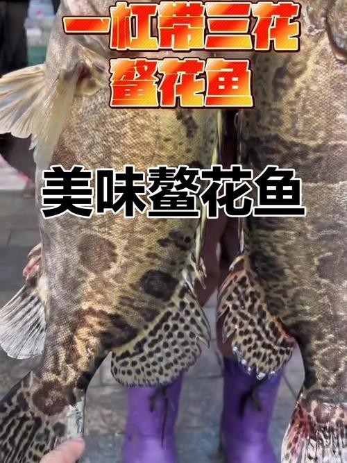 黑龍江奧夫魚
