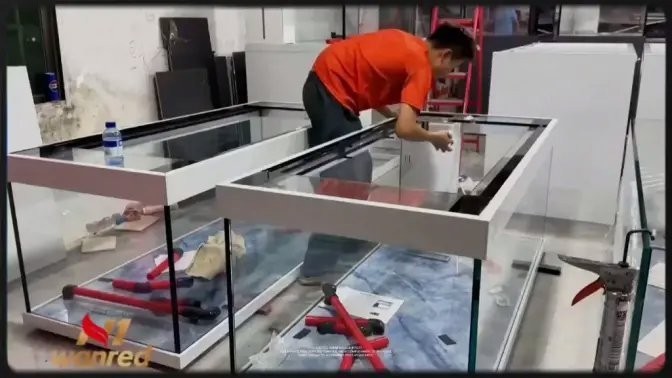 給我更多紅龍魚冠軍視頻