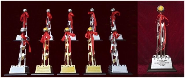 長城杯金獎有哪些獲獎案例？