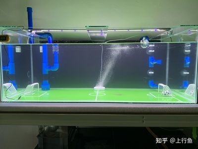 底濾魚缸打孔方法（底濾魚缸打孔改底濾）