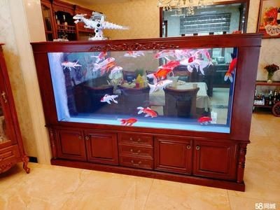彩蝶se尊享版魚缸過濾器材怎么擺放