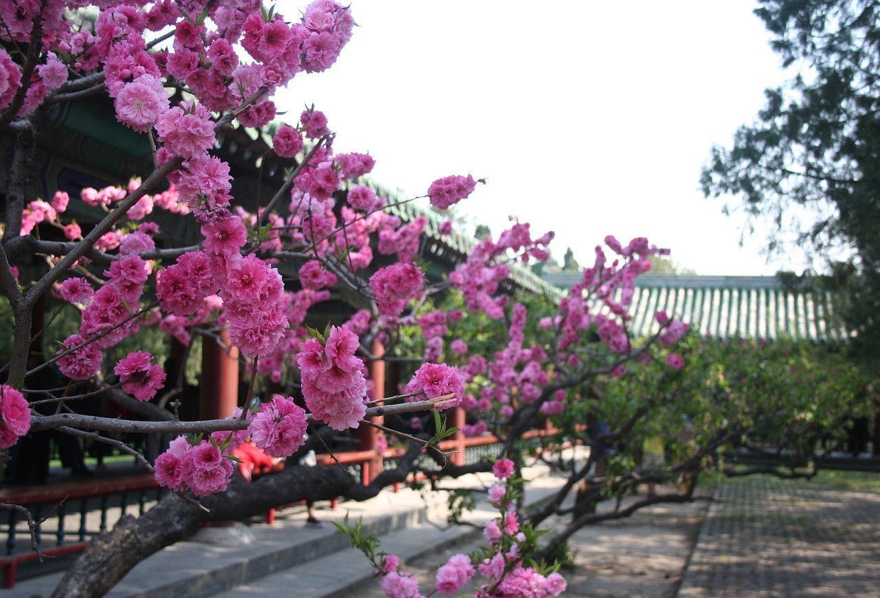 福鼎市園林花卉服務部（福鼎市園林花卉服務部地址）