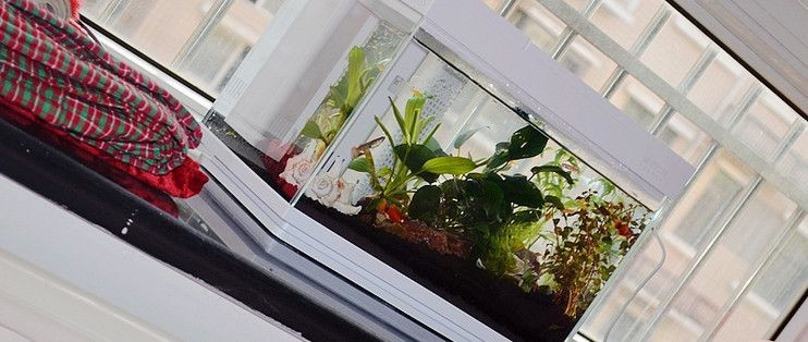 靚寵魚缸怎么樣好用嗎：如何清潔靚寵魚缸，魚缸顯示屏功能介紹