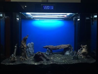 魚缸買哪種好（魚缸買哪種好，）