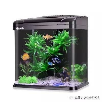 魚缸買哪種好（魚缸買哪種好，）