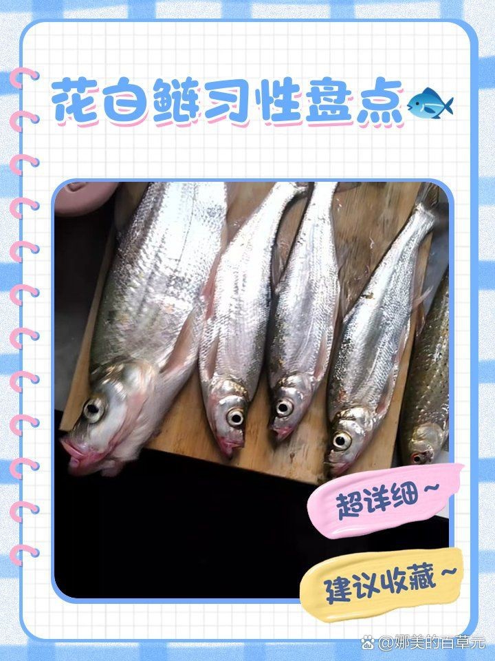 花白鰱水溫多少度不進食