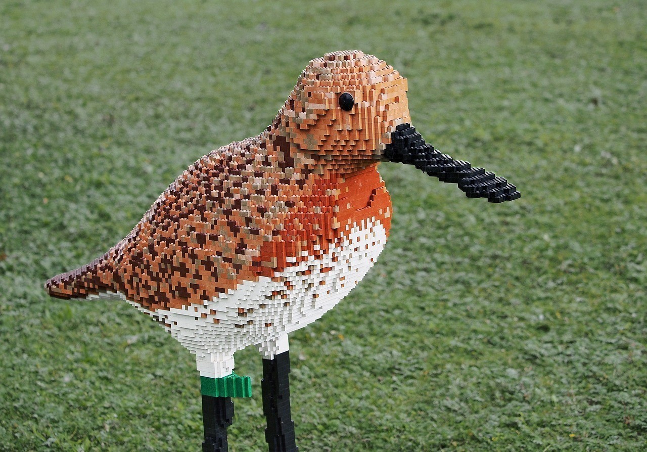 銀龍魚頭部有白點是什么（銀龍魚頭上長白疙瘩）