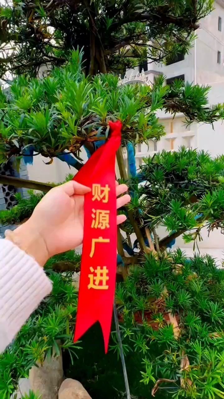 聽風，悅耳；賞魚，悅目