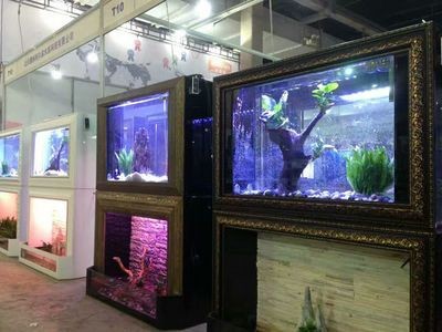 光特億（caperplus）魚缸：光特億魚缸適用魚類推薦