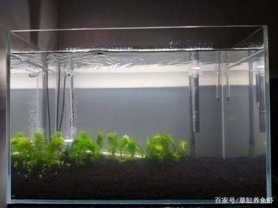 魚缸過濾泵怎么選，如何選擇過濾泵