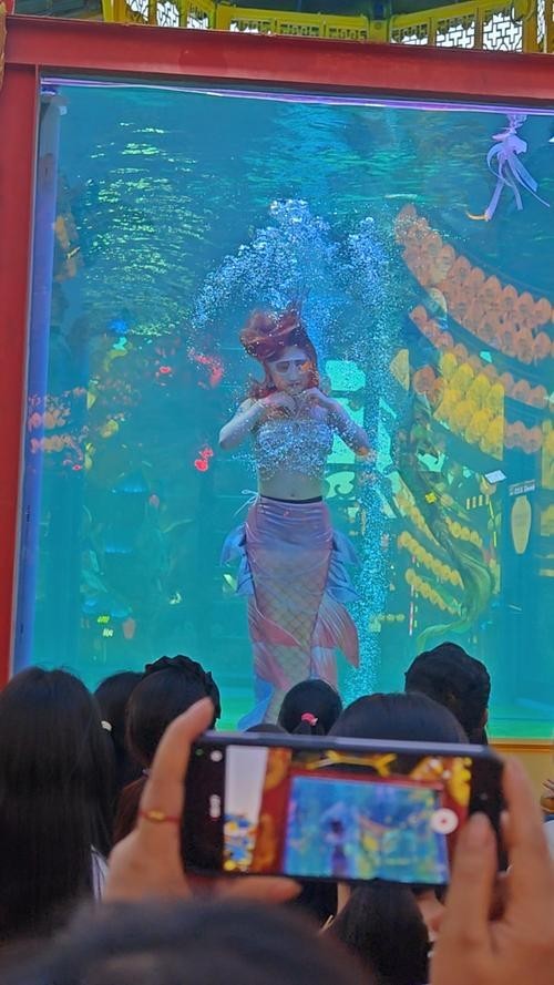 寧波海洋世界有哪些特色表演？