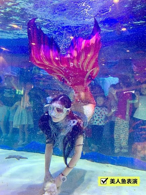 寧波海洋世界有哪些特色表演？