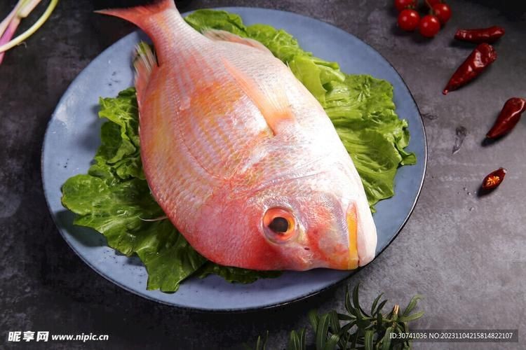 紅立魚圖片 紅立魚圖片 龍魚論壇 第4張