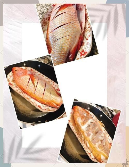 紅立魚圖片 紅立魚圖片 龍魚論壇 第12張