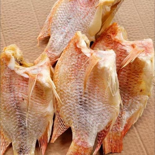 紅立魚圖片 紅立魚圖片 龍魚論壇 第14張