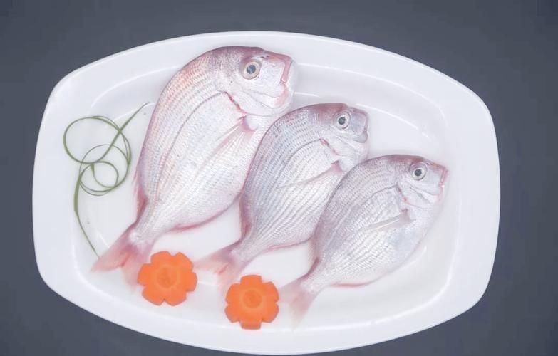 紅立魚圖片 紅立魚圖片 龍魚論壇 第22張
