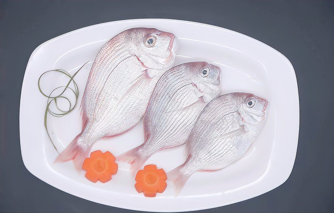紅立魚圖片 紅立魚圖片 龍魚論壇 第30張