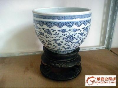 上海觀賞魚進口商家有哪些品牌好賣的上海觀賞魚進口商家有哪些，上海觀賞魚市場