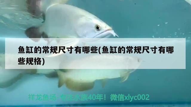 魚缸外置過濾器安裝視頻