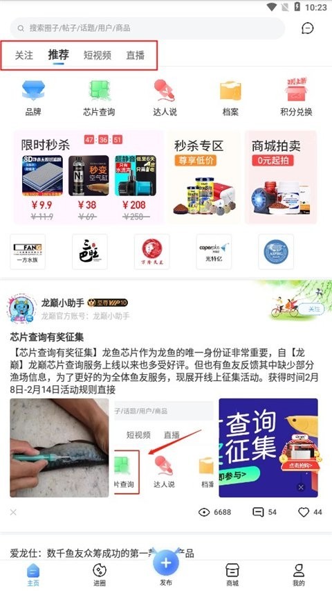 龍魚之巔APP如何下載？ 龍魚之巔APP如何下載？ 2025長城杯龍魚大賽 第3張