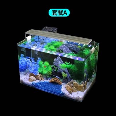 淮安市旭升水族館（淮安市旭升水族館地址）