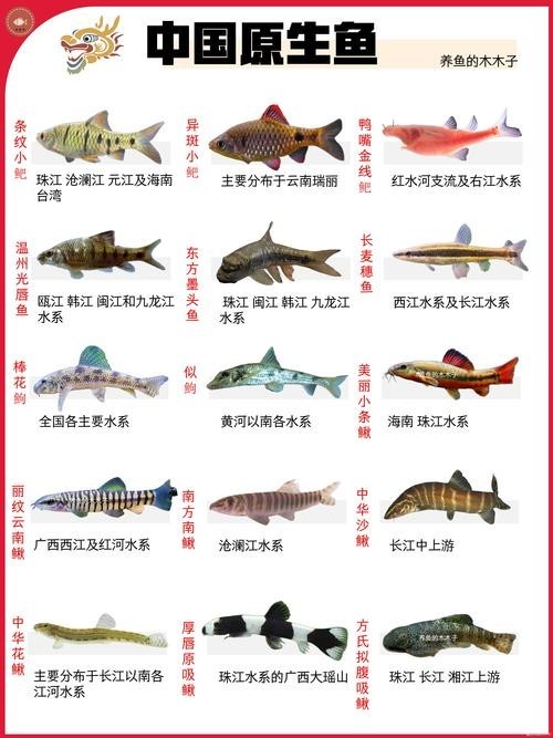中國觀賞魚2005