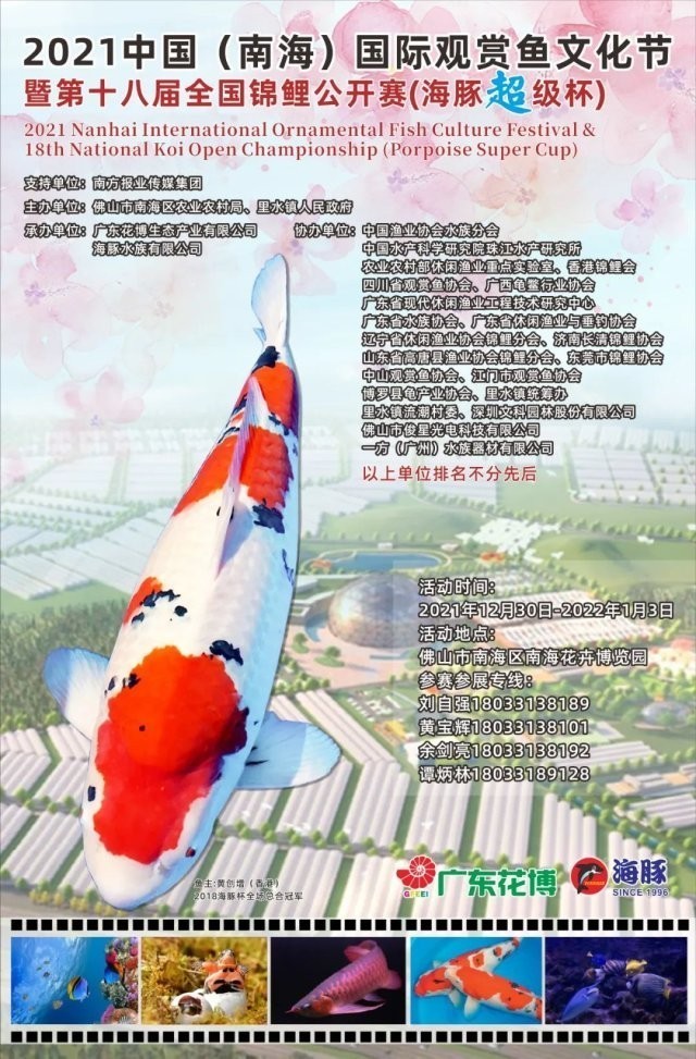 介紹一下錦鯉比賽的規(guī)則