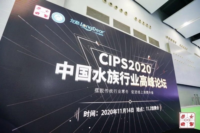 中國龍魚協會的會長是誰? 2025長城杯龍魚大賽 第8張 中國龍魚協會的會長是誰? 中國龍魚協會的會長是誰? 2025長城杯龍魚大賽 第8張