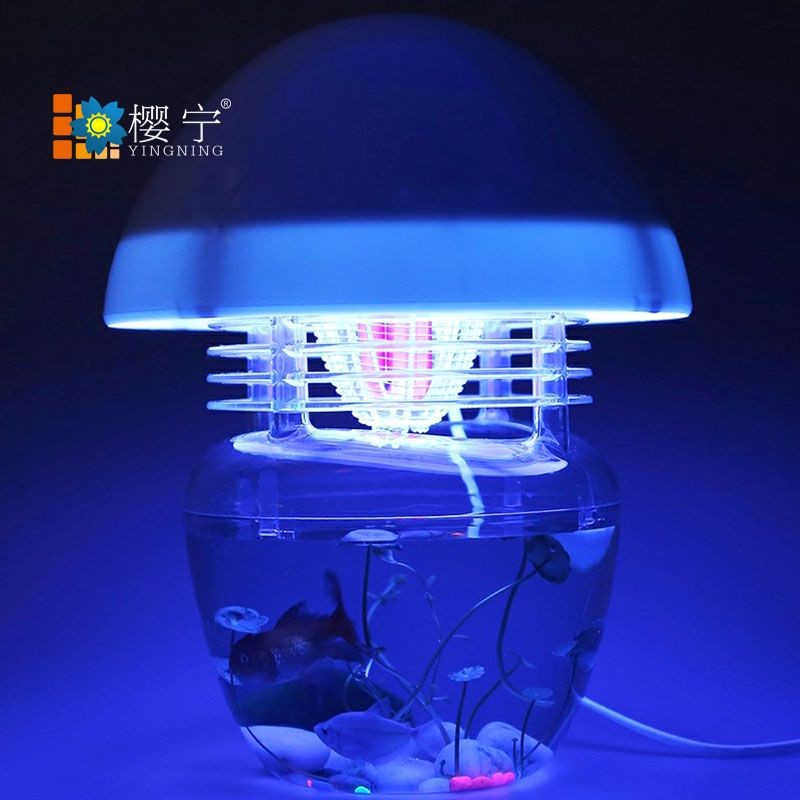 魚缸對寶寶有輻射嗎：插電魚缸對寶寶有害嗎