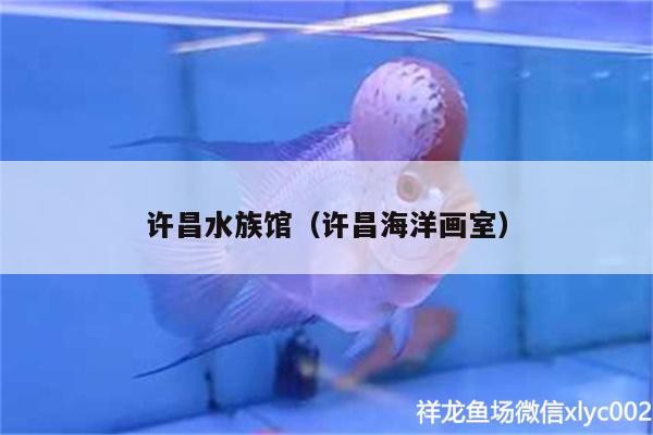 許昌水族館（許昌海洋畫室）
