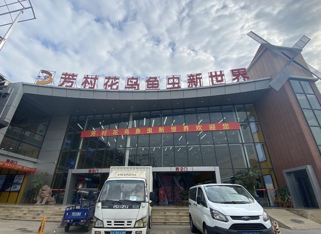 芳村花地灣周邊還有哪些龍魚商戶？