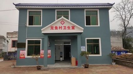 龍魚教育集團(tuán)：龍魚教育集團(tuán)是什么公司