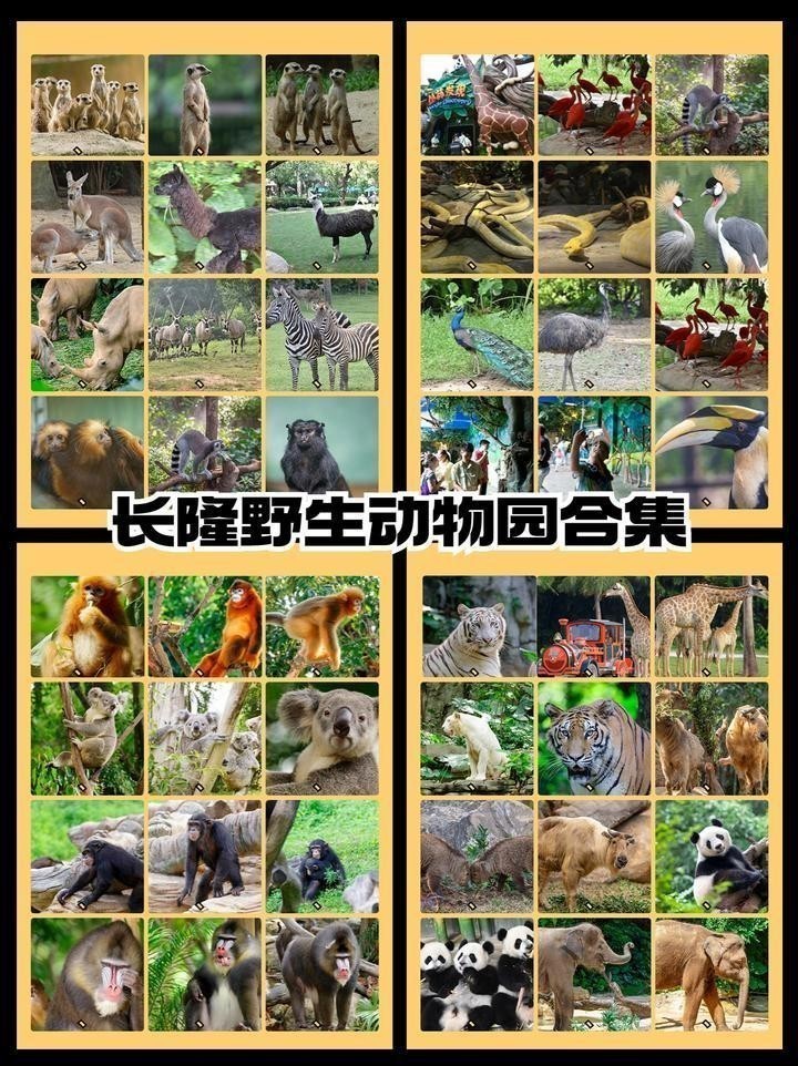 長隆野生動物園開放時間是？