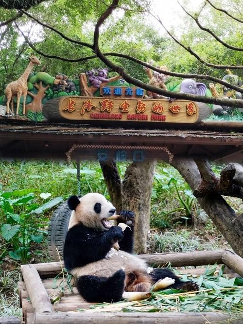 長隆野生動物園開放時間是？