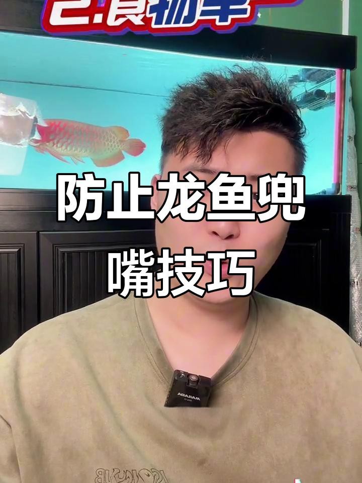 紅龍魚幼苗的兜嘴如何預防？