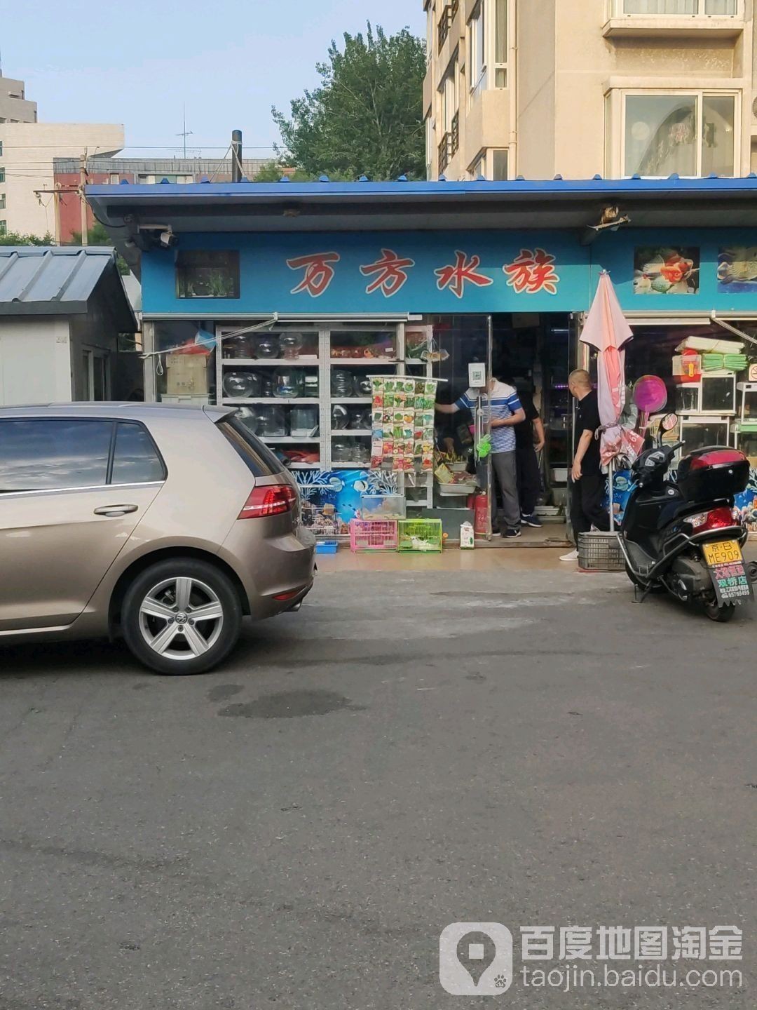 朝陽區還有哪些水族店推薦？