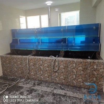 家用魚缸循環水過濾系統百科，家用魚缸循環水過濾系統維護周期如何選擇合適過濾系統