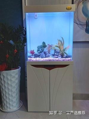 有哪些品牌的水族箱適合長城造景？